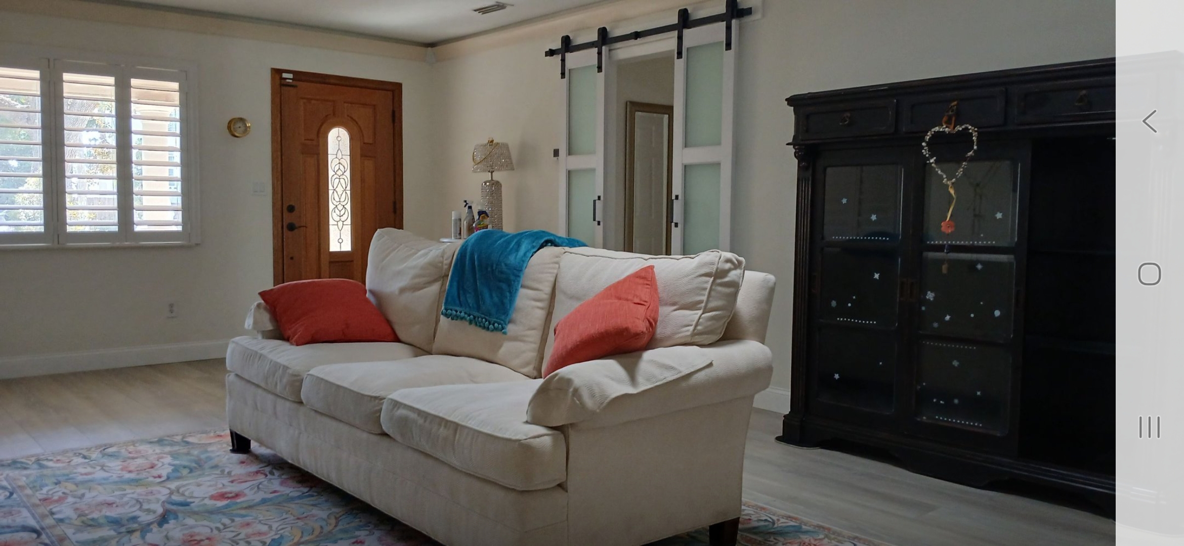 Davis Island Remodel