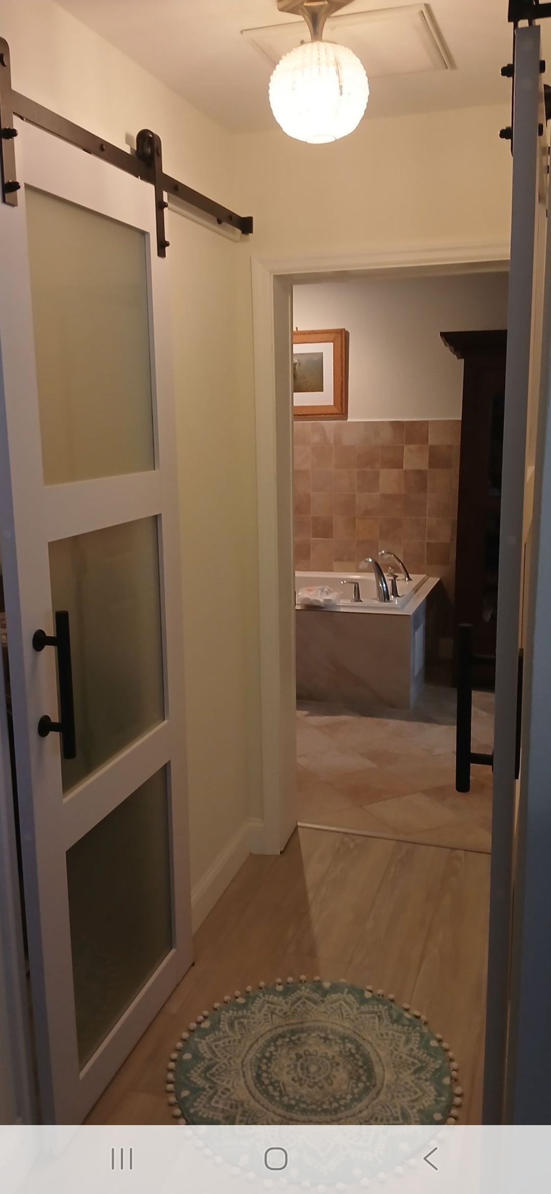 Davis Island Remodel